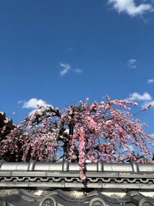 旧田中家鋳物民俗資料館 6枚目