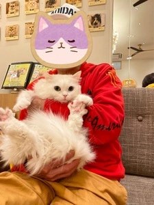 イオンモール 甲府昭和