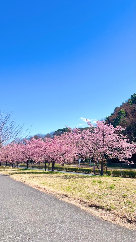 miiさんが投稿したさいたま市 思い出の里市営霊園に関する口コミの画像