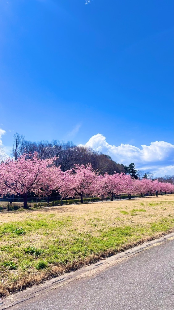 miiさんが投稿したさいたま市 思い出の里市営霊園に関する口コミの画像