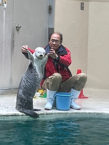 鳥羽水族館 5枚目