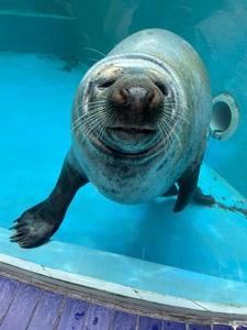 鳥羽水族館 4枚目