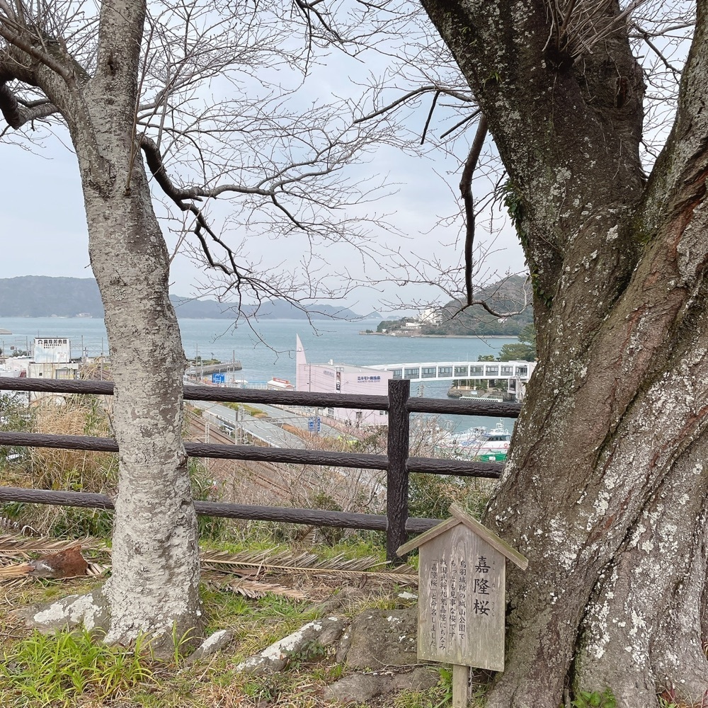 Danjouさんが投稿した城山公園に関する口コミの画像