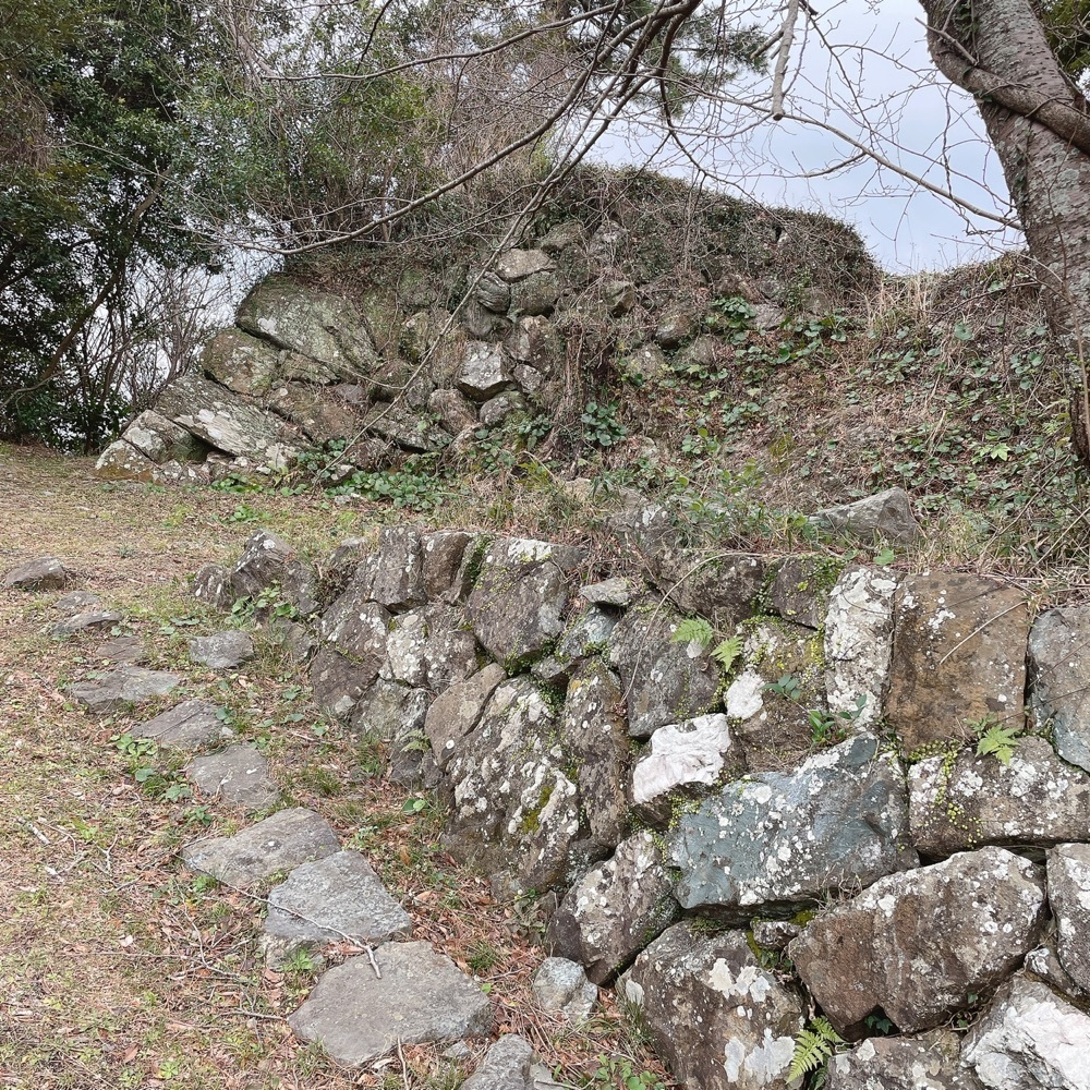 Danjouさんが投稿した城山公園に関する口コミの画像