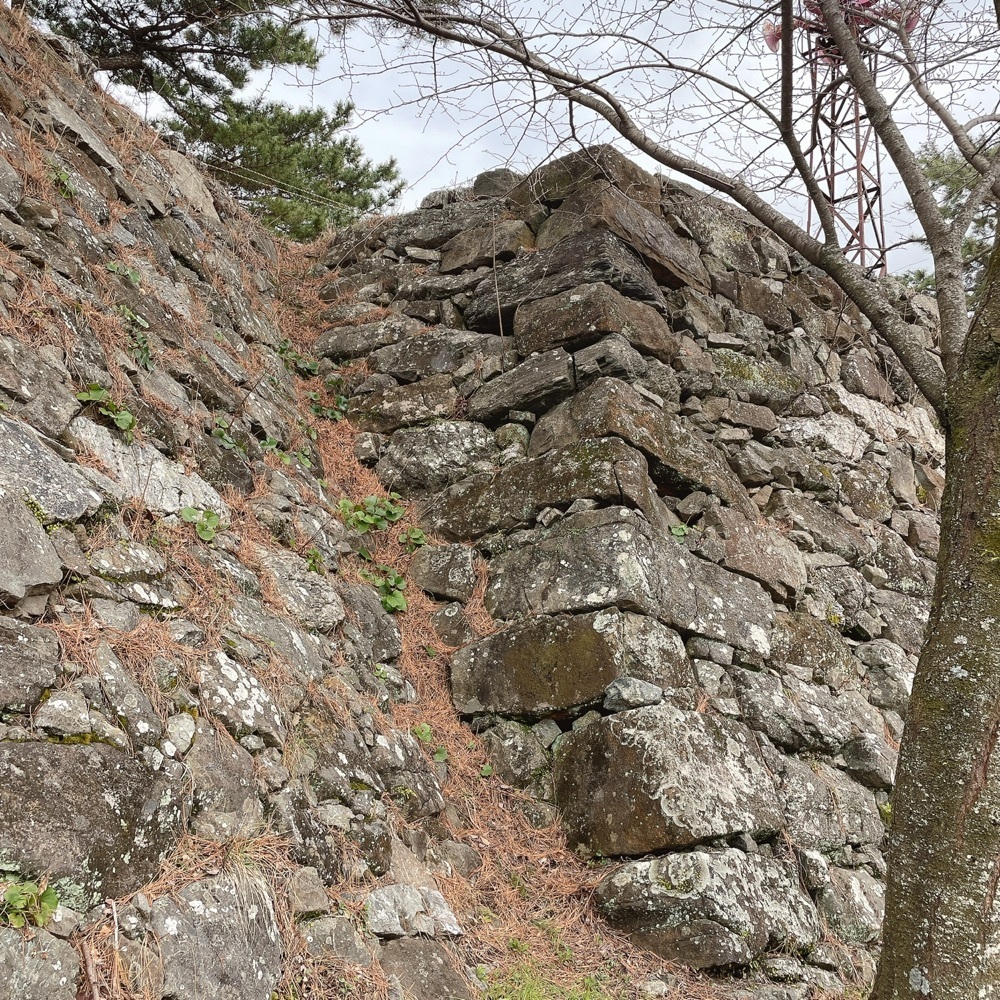 Danjouさんが投稿した城山公園に関する口コミの画像