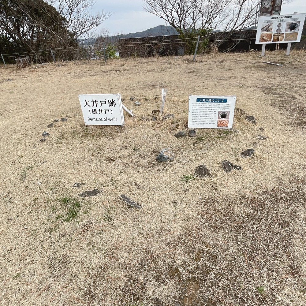 Danjouさんが投稿した城山公園に関する口コミの画像