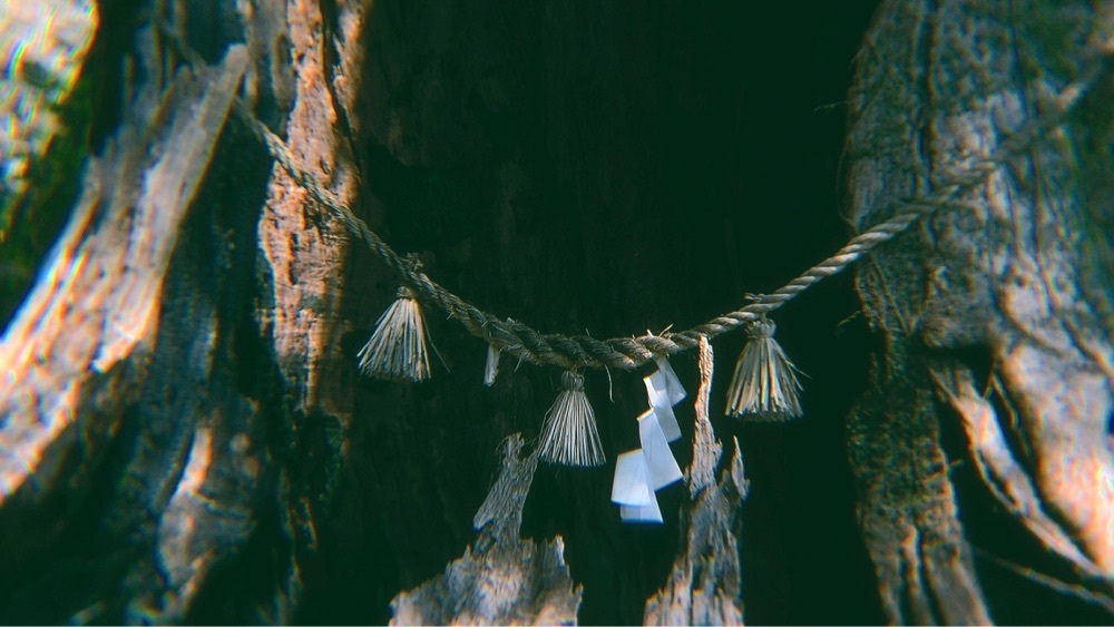 兎きちさんが投稿した都萬神社に関する口コミの画像