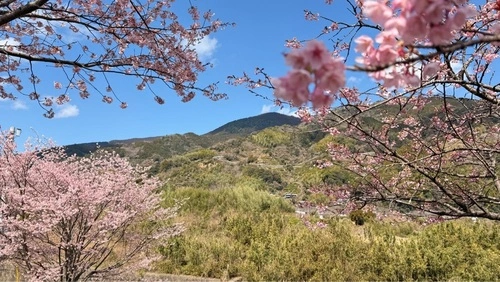 前松堂（ゼンショウドウ）