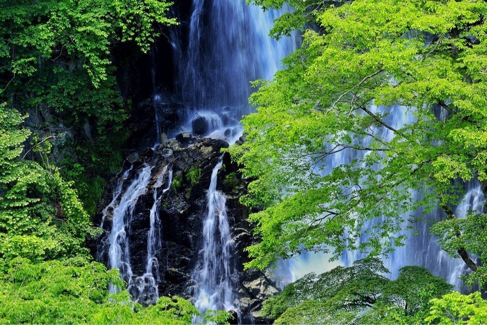 まさまさ　さまさんが投稿した霧降の滝売店に関する口コミの画像