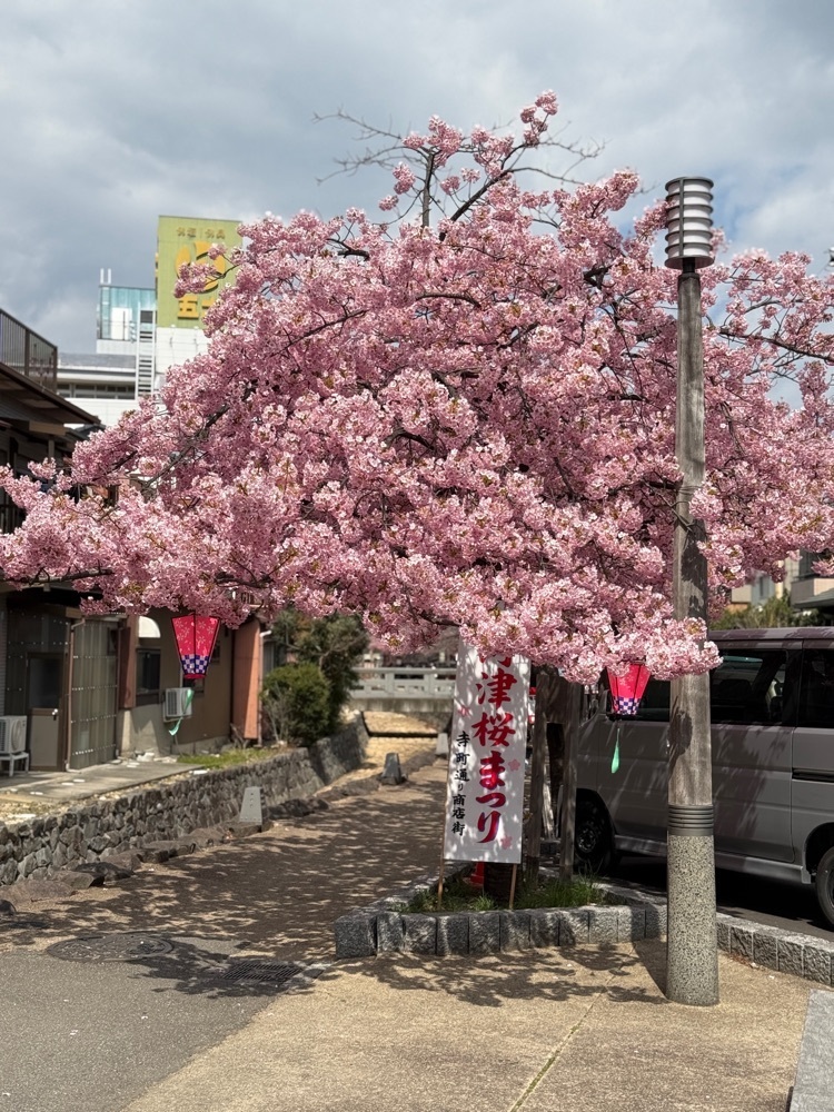 soccer kozou さんが投稿した桑名寺町通り商店街に関する口コミの画像