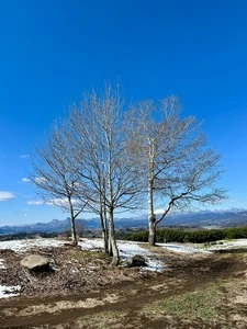希望の丘