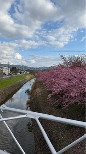 たこ焼 くるり