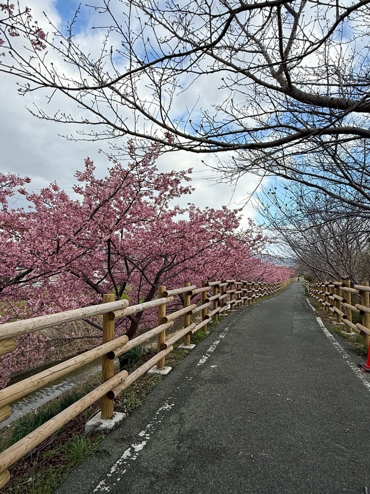 ぺたこ♡さんが投稿したたこ焼 くるりに関する口コミの画像