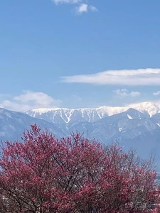 円光院