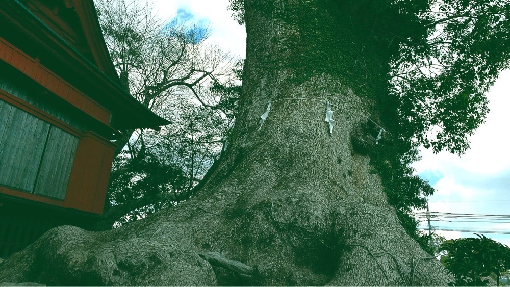 兎きちさんが投稿した本庄剣柄稲荷神社に関する口コミの画像