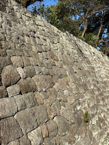 駿府城址 2枚目
