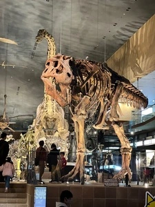 北九州市立いのちのたび博物館
