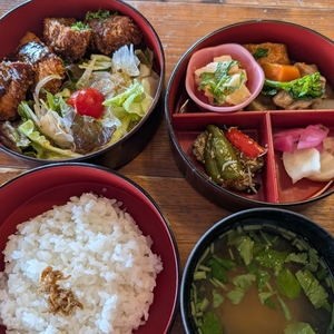 ツクヒコ（TUKUHIKO）