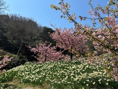 因島