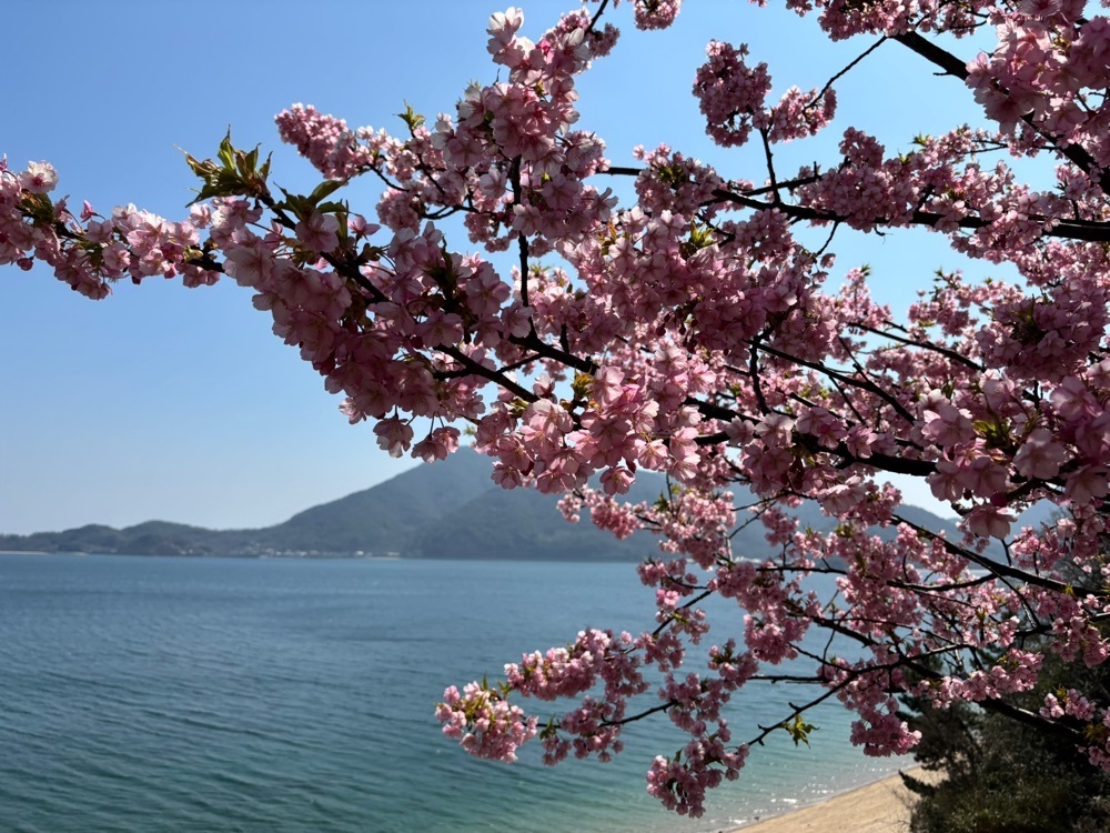 みーなさんが投稿した因島に関する口コミの画像