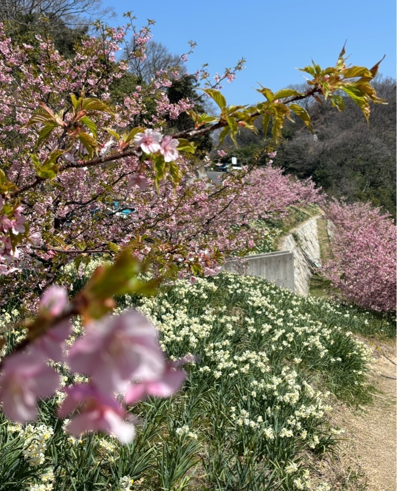 みーなさんが投稿した因島に関する口コミの画像