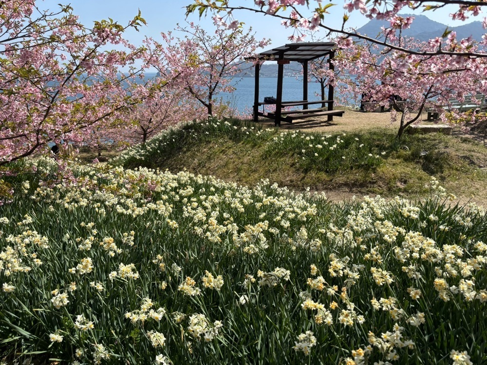 みーなさんが投稿した因島に関する口コミの画像