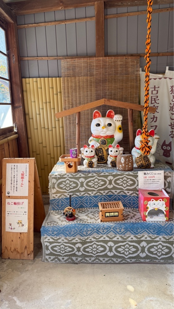 みぃさんが投稿した猫と過ごせる古民家カフェ そらまめの家に関する口コミの画像