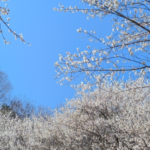 次の滝