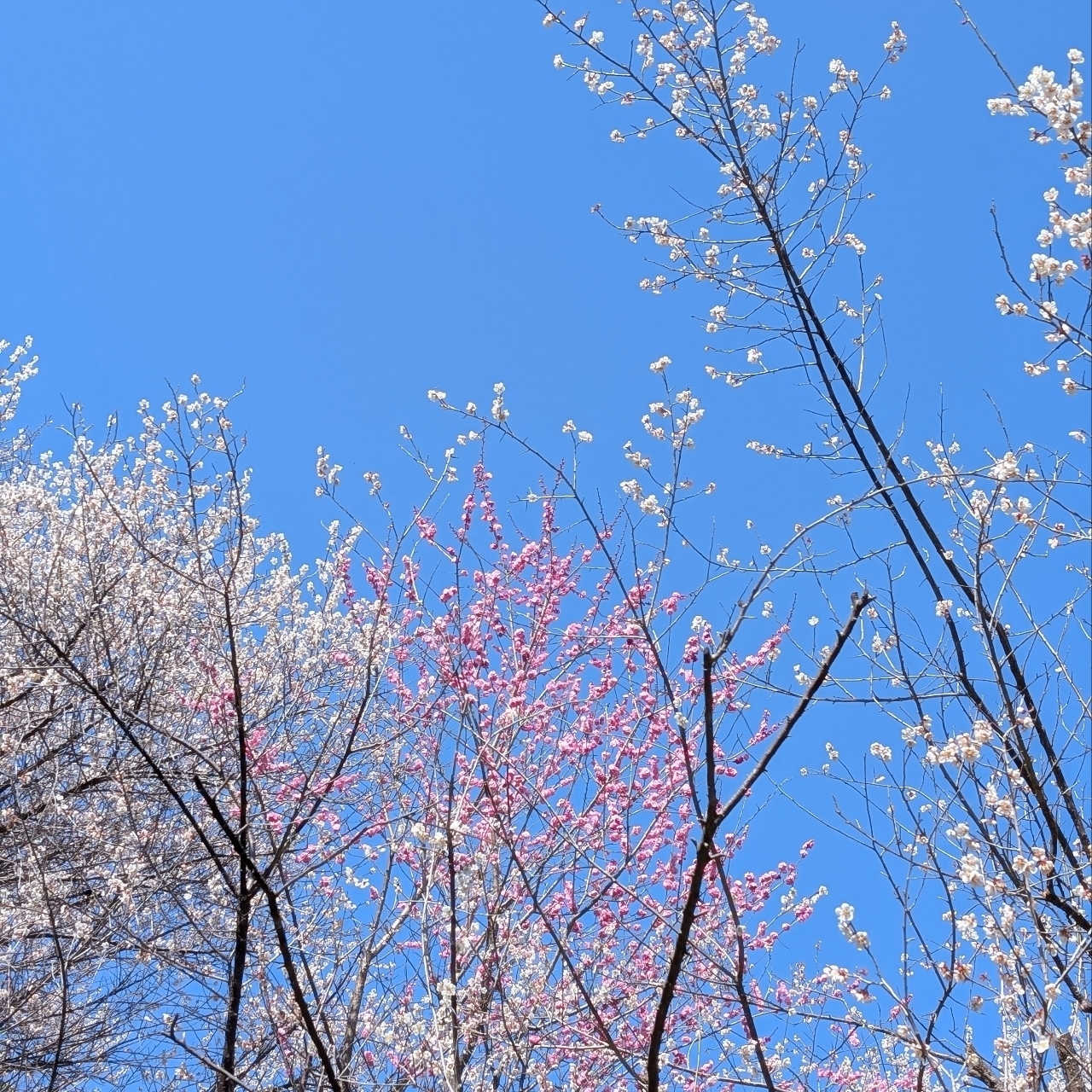 ぬっくさんが投稿した次の滝に関する口コミの画像