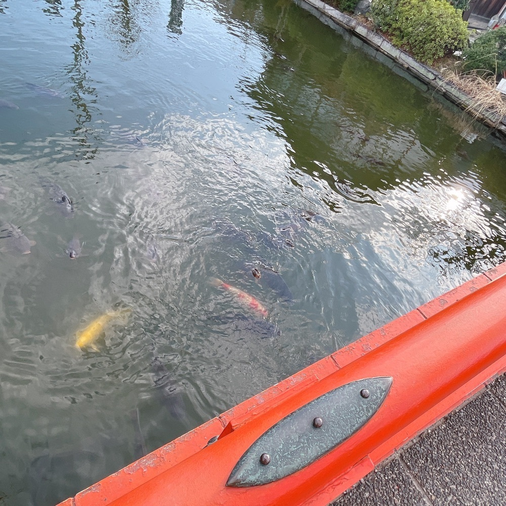 Danjouさんが投稿した神泉苑（真言宗寺院）に関する口コミの画像