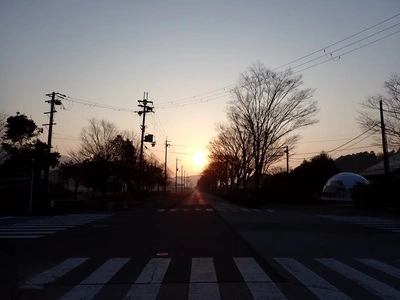 樹里