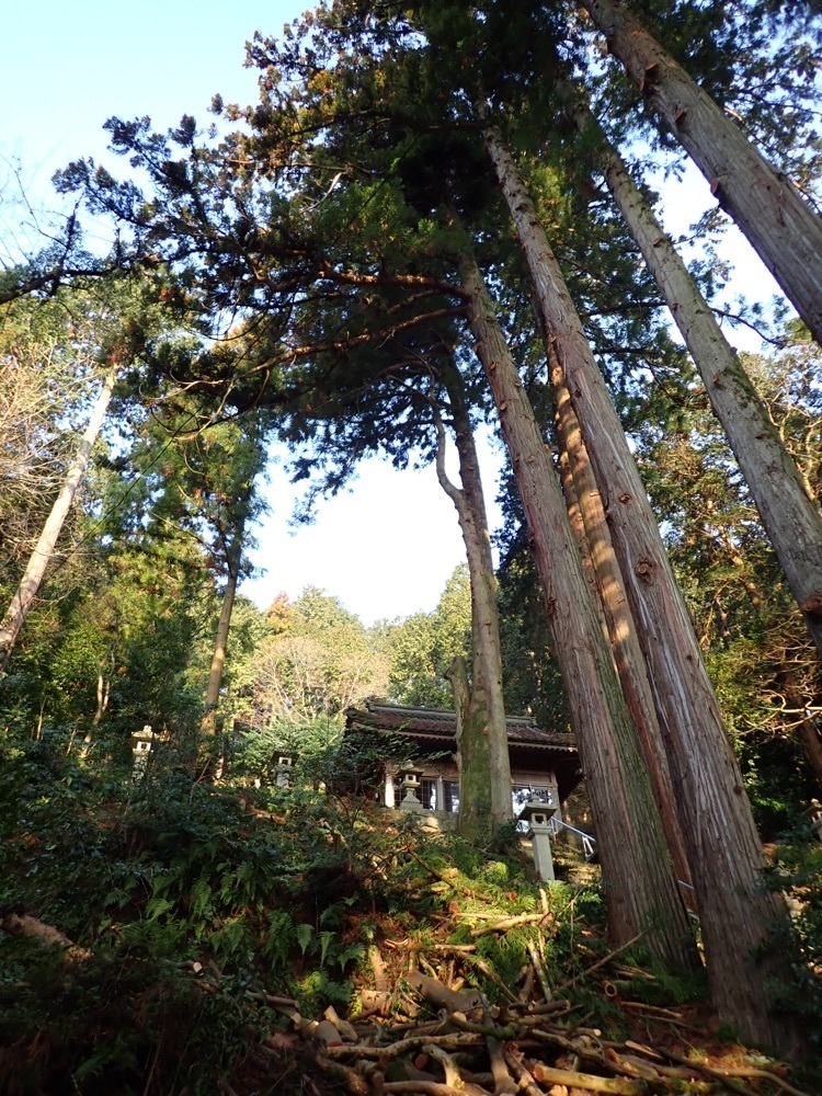 Howl Monさんが投稿した樹里に関する口コミの画像
