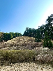 清風園（セイフウエン）