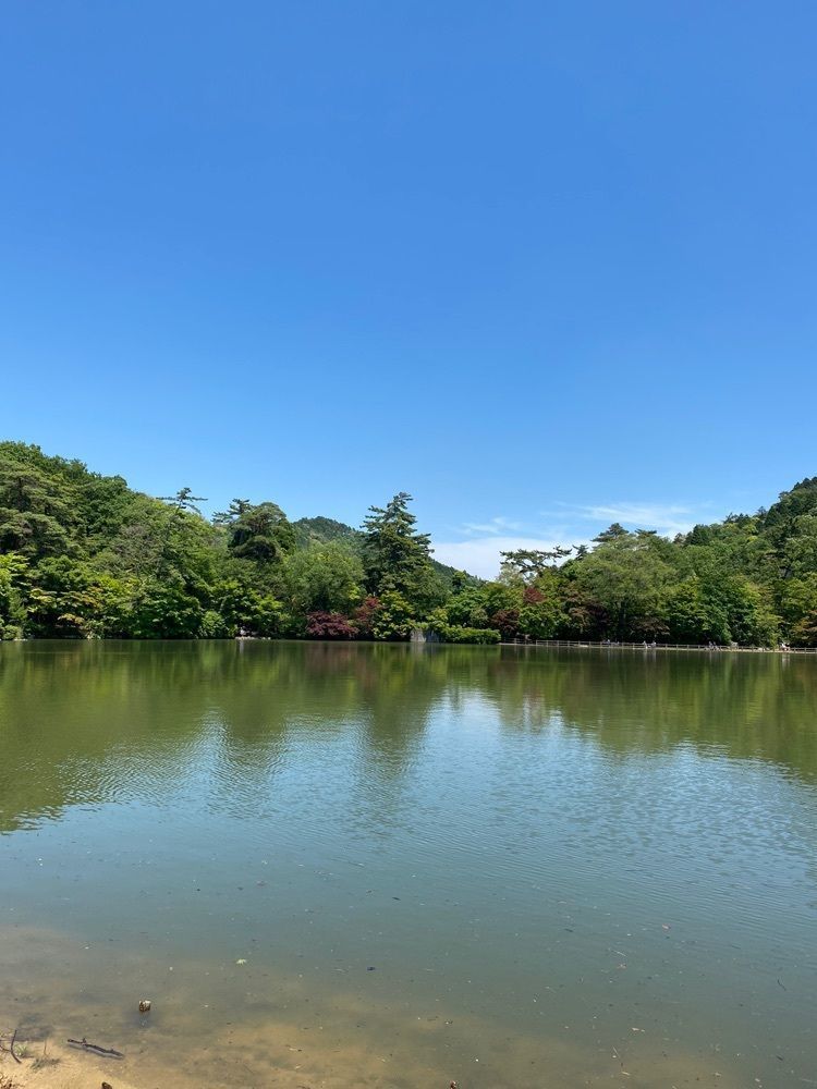 Beautiful placeさんが投稿した再度公園に関する口コミの画像