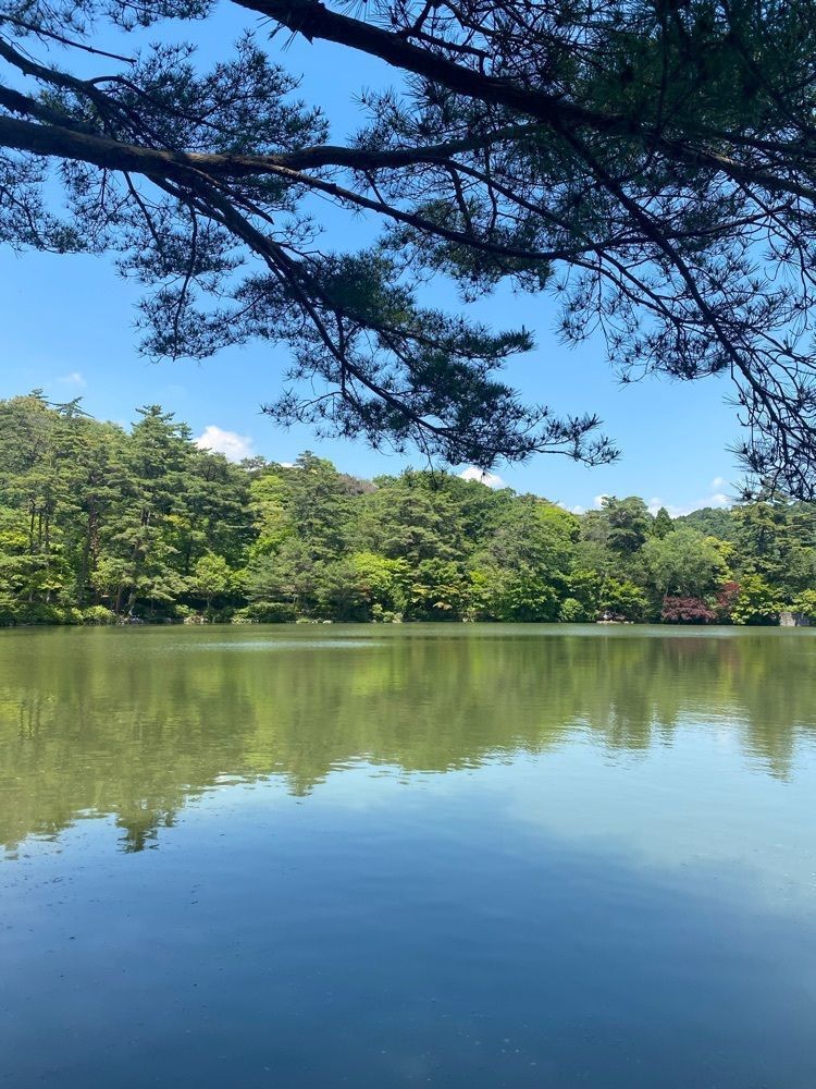 Beautiful placeさんが投稿した再度公園に関する口コミの画像