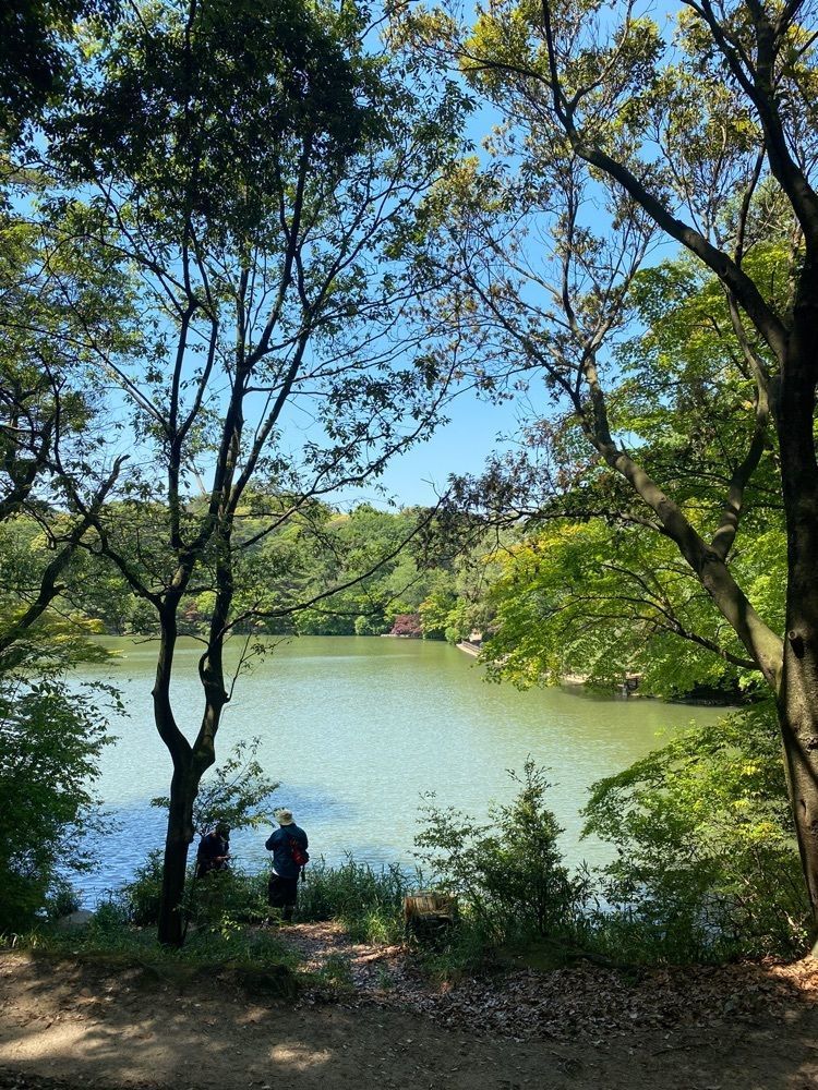 Beautiful placeさんが投稿した再度公園に関する口コミの画像