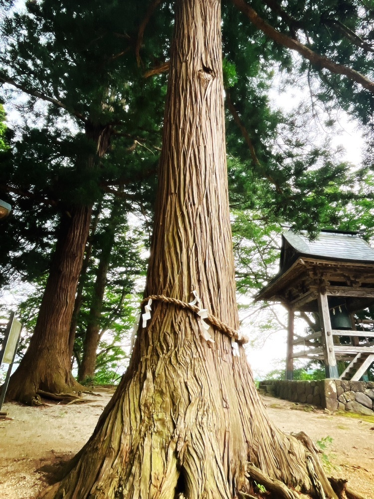 猫なぎ。さんが投稿した鮎貝八幡宮に関する口コミの画像