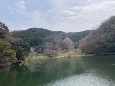 桜淵公園