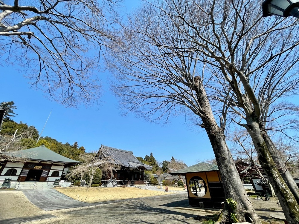 ❁⃘*.ﾟ·͜·♡さんが投稿した能仁寺に関する口コミの画像