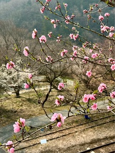 神戸駅（わたらせ渓谷鐵道） 1枚目