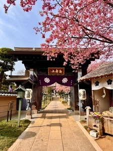 密蔵院（埼玉県川口市）