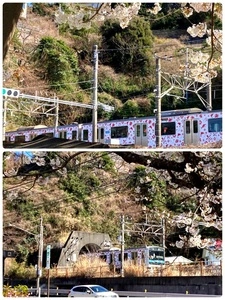 小山臨海公園テニスコート
