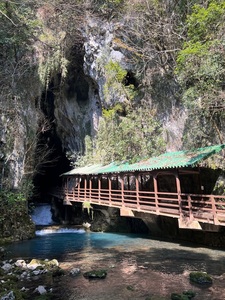 秋芳洞 3枚目