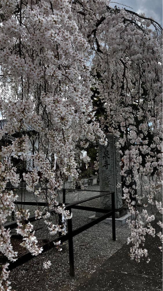 take.aさんが投稿したセブンイレブン 中央市布施に関する口コミの画像
