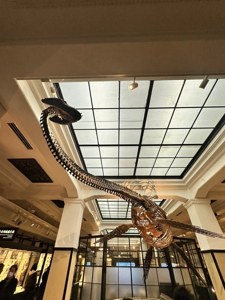国立科学博物館 - 上野 (その他)の口コミやアクセス情報｜aumo