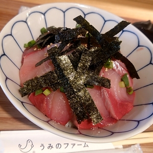 うみのファーム（umino farm）