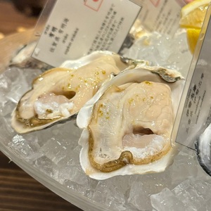 Daliguadalupe Terrace House(ダリグアダルーペ) 2枚目