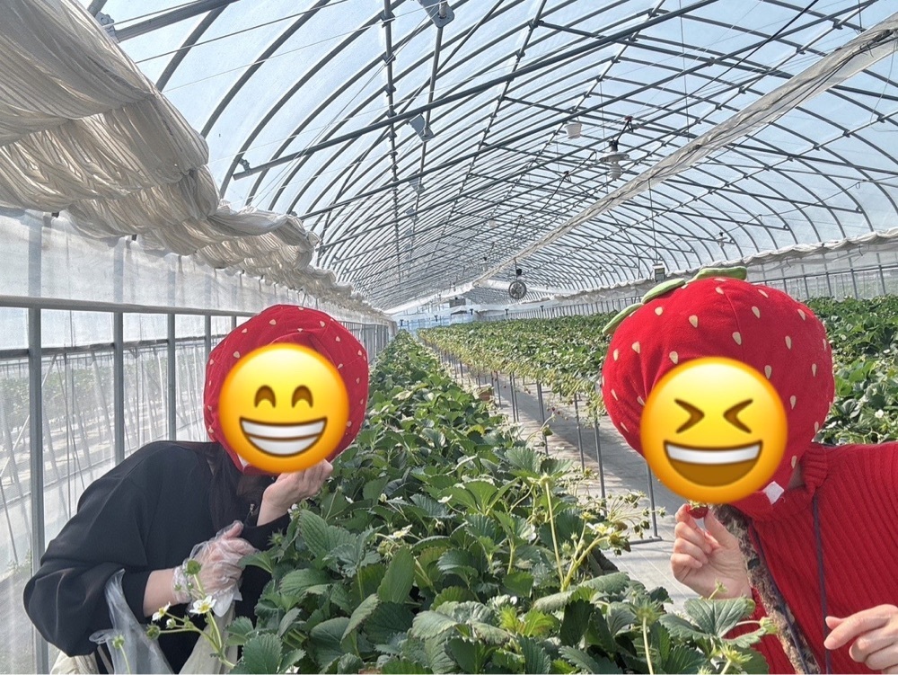 Danjouさんが投稿したボンガーデン（Bon Garden）に関する口コミの画像