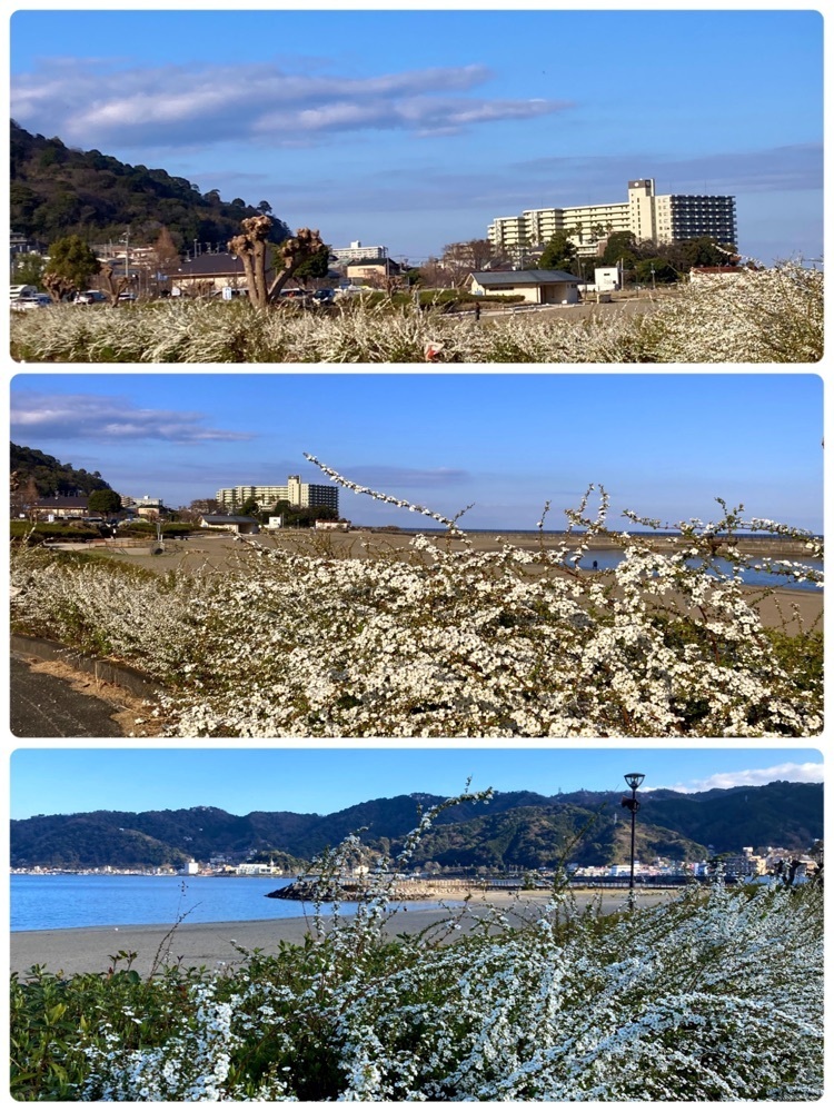 delicious_museum_7212さんが投稿した長浜海浜公園に関する口コミの画像