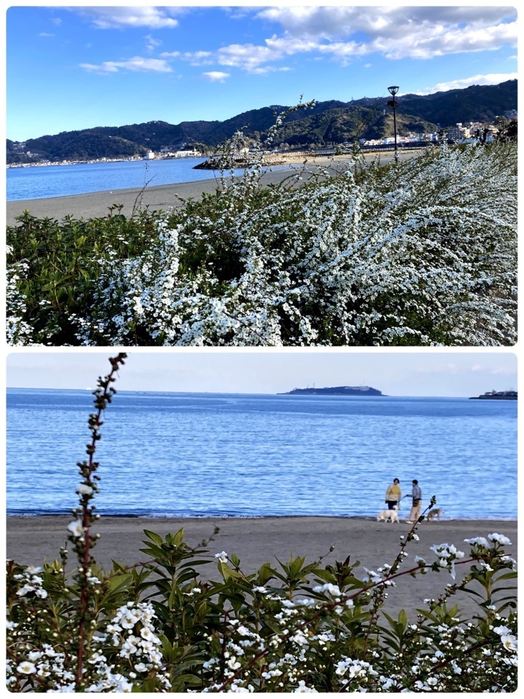 delicious_museum_7212さんが投稿した長浜海浜公園に関する口コミの画像